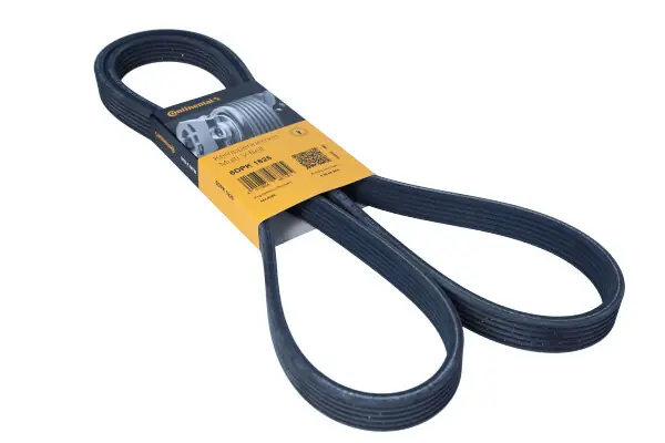 Oferta limitowana CONTITECH Pasek klinowy wielorowkowy 6DPK1825