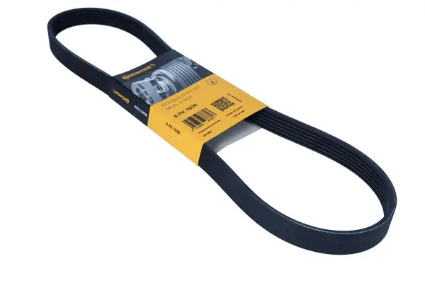Popularny CONTITECH Pasek wielorowkowy 6PK1026 NISSAN