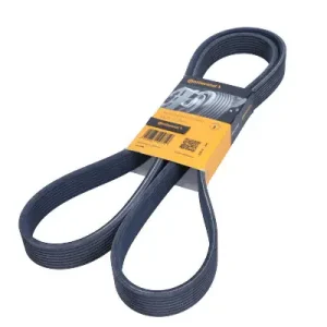 CONTITECH Pasek wielorowkowy 8DPK1833 Niska cena