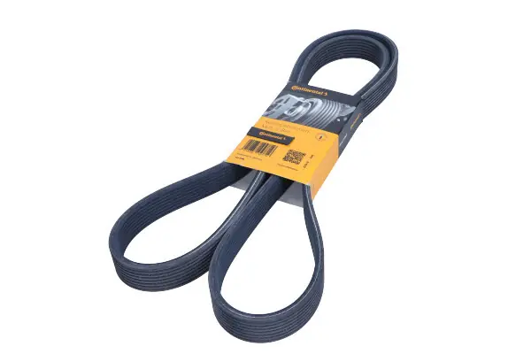 CONTITECH Pasek wielorowkowy 8DPK1833 Niska cena