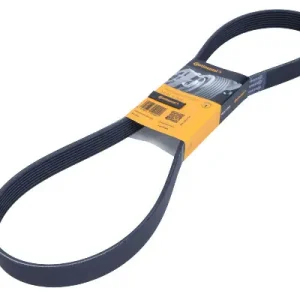 CONTITECH Pasek wielorowkowy 8PK1230 Zamów teraz