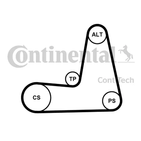 CONTITECH ZESTAW PASKA WIELOROWKOWEGO RENAULT 1,4/1,6 Kup teraz