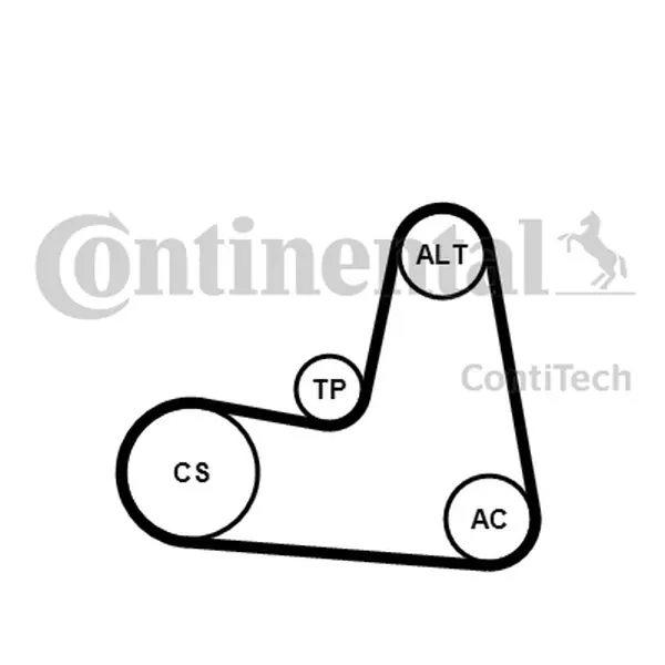 CONTITECH Zestaw paska wielorowkowego RENAULT 1,9DCI 7PK1125K1 Autentyczny