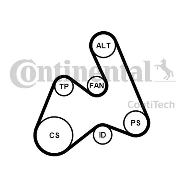 Tylko dziś CONTITECH Zestaw paska wielorowkowego VW PASSAT, AUDI A4/A6 1,9TDI 5PK1592K1