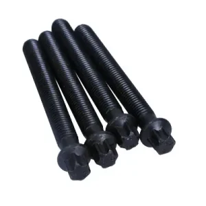 CORTECO Zestaw Śrub Koła Pasowego BMW E90 E91 3.0D 80004865 Popularny