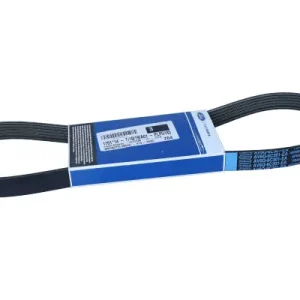 OE FORD PASEK WIELOROWKOWY 6PK962 1701514 FORD Tylko dziś